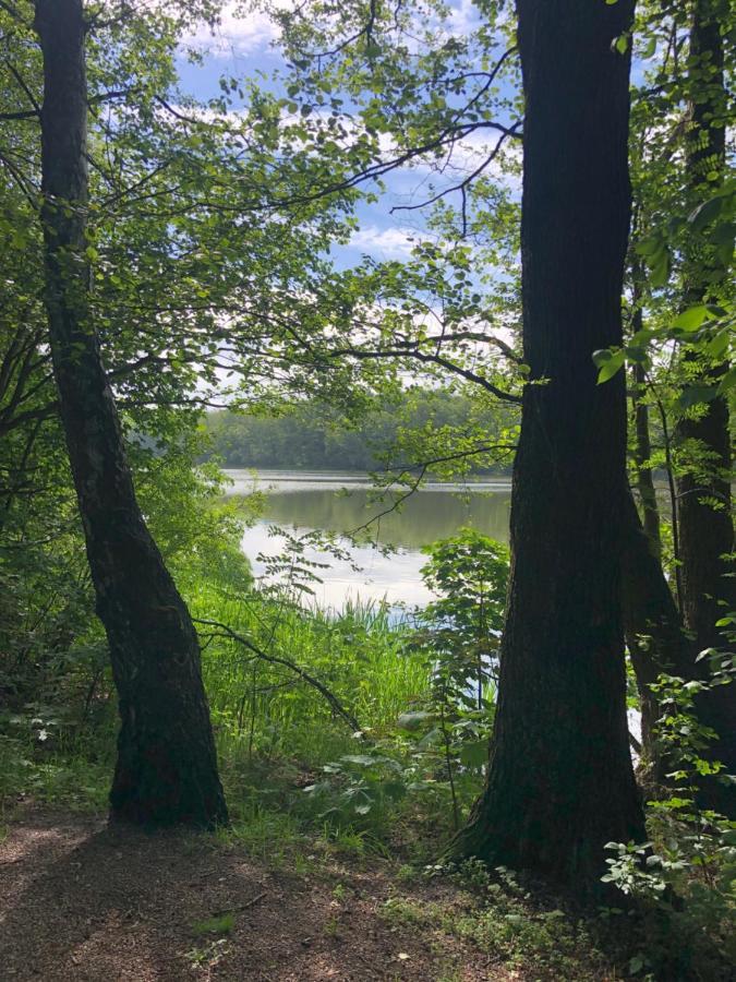 Noclegi Gdansk Pokoje Goscinne 외부 사진